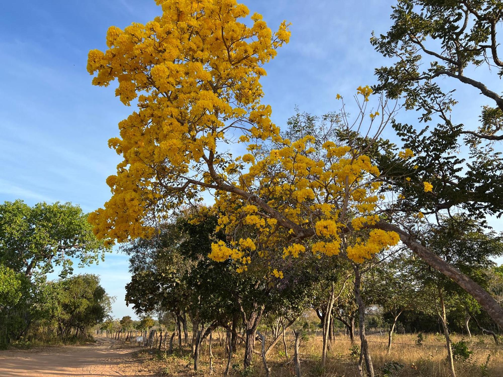 Fervedouro E Pousada Por Enquanto Sao Felix do Tocantins Exteriér fotografie